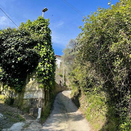 La Casa Dell'Ulivo Villa Imperia Buitenkant foto